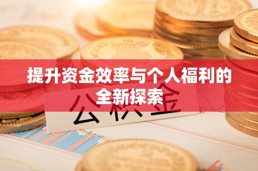 桑珠孜提升资金效率与个人福利的全新探索