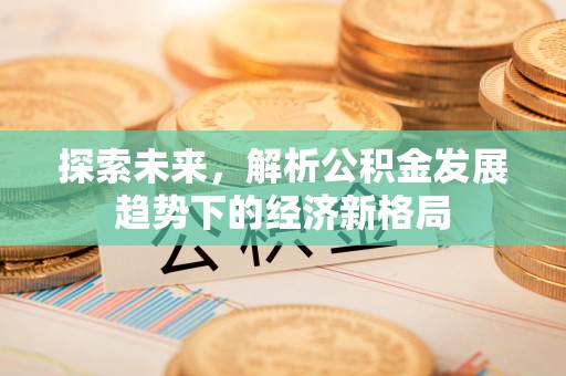 桑珠孜探索未来，解析公积金发展趋势下的经济新格局