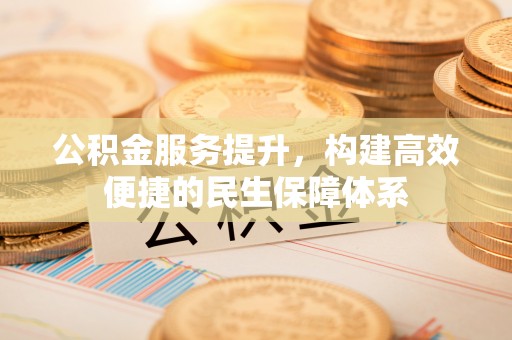 桑珠孜公积金服务提升，构建高效便捷的民生保障体系