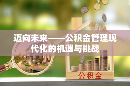 桑珠孜迈向未来——公积金管理现代化的机遇与挑战