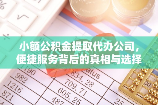 桑珠孜小额公积金提取代办公司，便捷服务背后的真相与选择