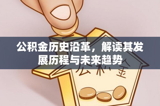 桑珠孜公积金历史沿革，解读其发展历程与未来趋势