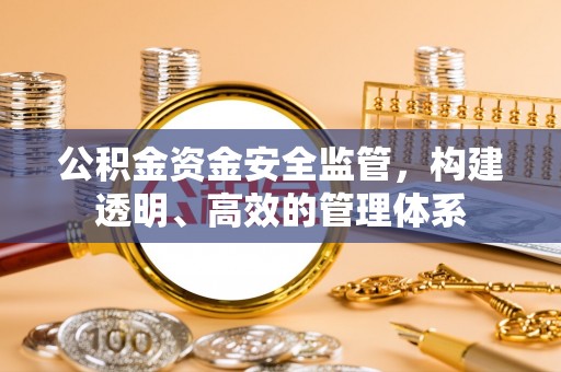 桑珠孜公积金资金安全监管，构建透明、高效的管理体系