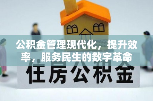 桑珠孜公积金管理现代化，提升效率，服务民生的数字革命