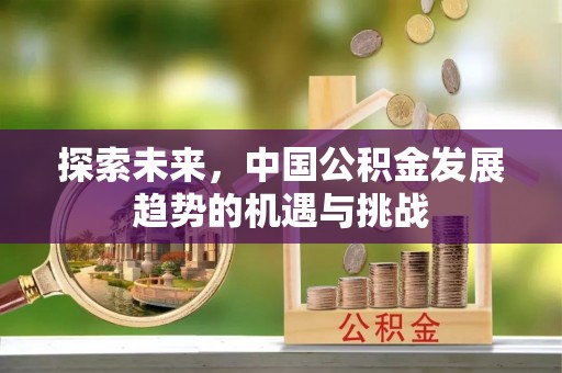 桑珠孜探索未来，中国公积金发展趋势的机遇与挑战