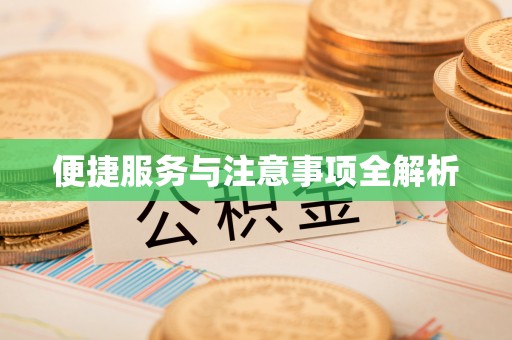 桑珠孜便捷服务与注意事项全解析