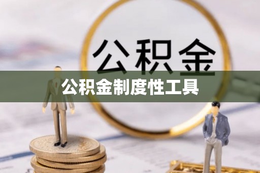 桑珠孜公积金制度性工具