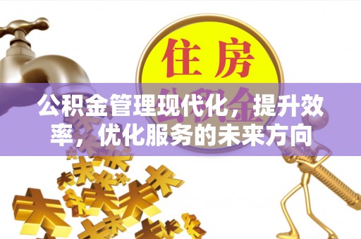 桑珠孜公积金管理现代化，提升效率，优化服务的未来方向