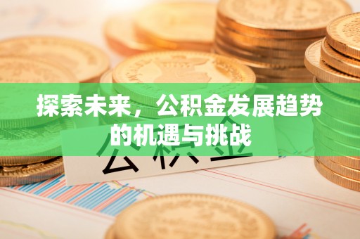 桑珠孜探索未来，公积金发展趋势的机遇与挑战