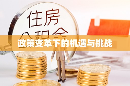 桑珠孜政策变革下的机遇与挑战
