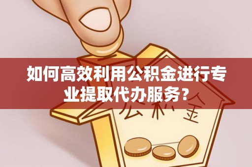 桑珠孜如何高效利用公积金进行专业提取代办服务？
