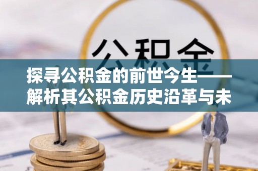 桑珠孜探寻公积金的前世今生——解析其公积金历史沿革与未来方向