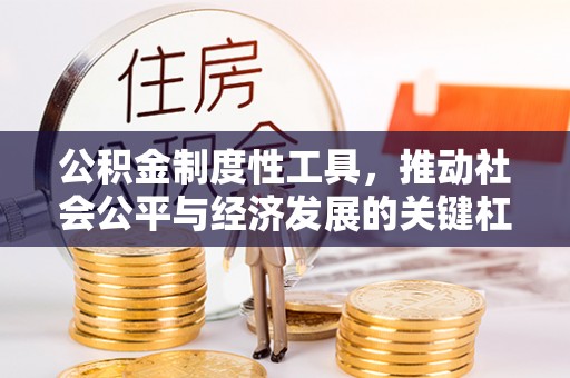 桑珠孜公积金制度性工具，推动社会公平与经济发展的关键杠杆