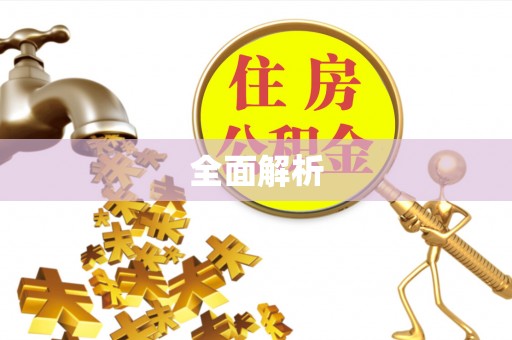 桑珠孜全面解析