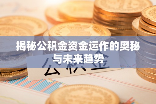 桑珠孜揭秘公积金资金运作的奥秘与未来趋势