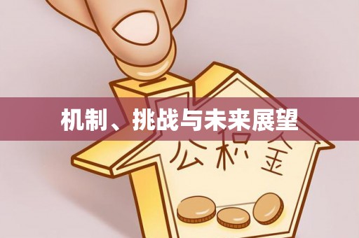 桑珠孜机制、挑战与未来展望
