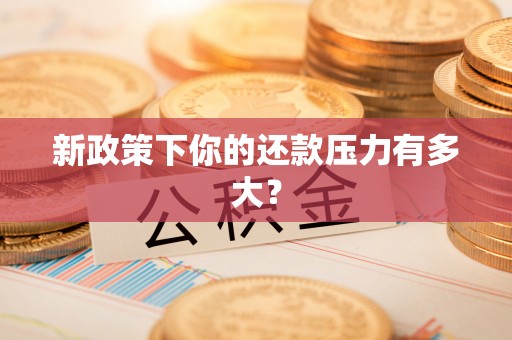 桑珠孜新政策下你的还款压力有多大？