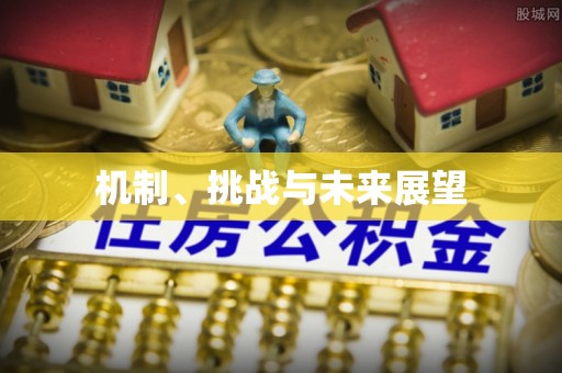 桑珠孜机制、挑战与未来展望