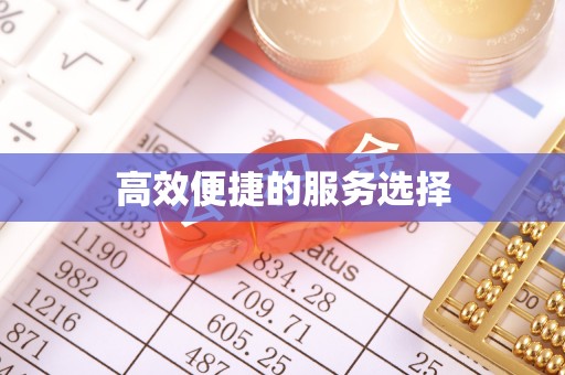 桑珠孜高效便捷的服务选择