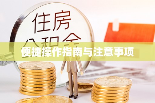 桑珠孜便捷操作指南与注意事项