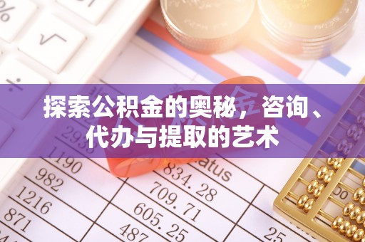 桑珠孜探索公积金的奥秘，咨询、代办与提取的艺术