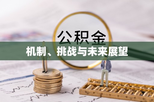 桑珠孜机制、挑战与未来展望